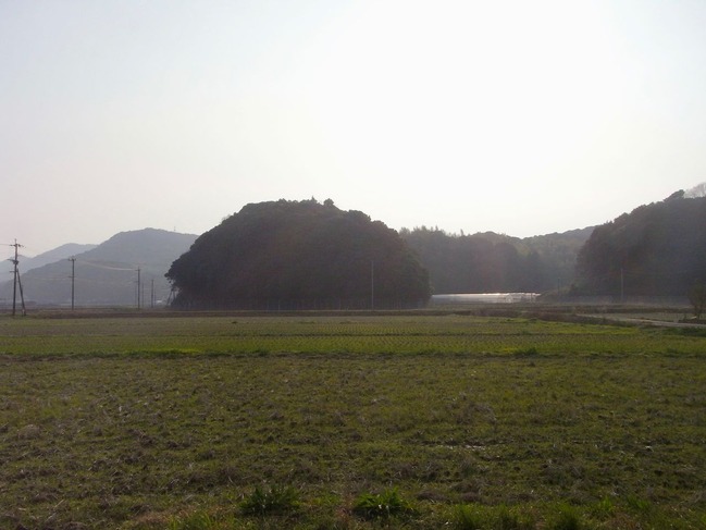 RIMG0135