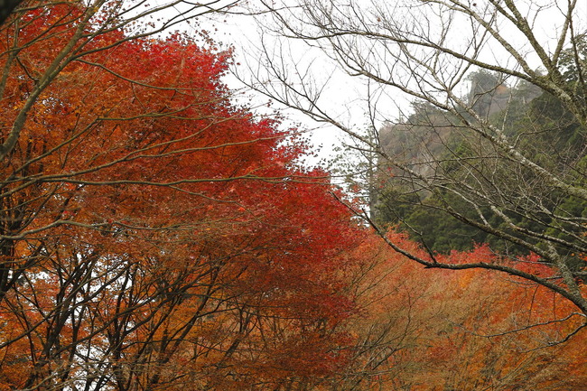 SDIM0779