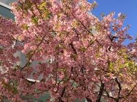 IMG_5322 (200x150)
