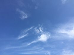 IMG_3994 (250x188)