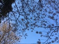 IMG_2619 (200x150)
