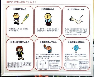 蚊に刺されやすい人 画像1