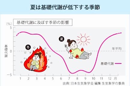 基礎代謝低下 画像1