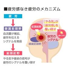 隠れ疲労 画像1