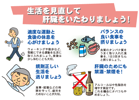 脂肪肝予防 画像1
