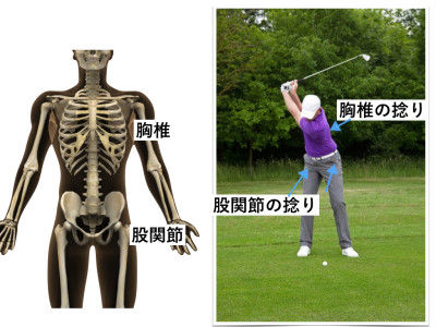ゴルフと腰痛 画像1