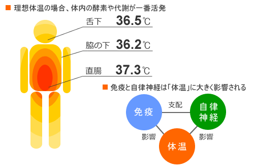 体温 画像2