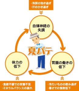 夏バテ 画像1