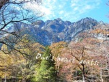 奥上高地 徳沢