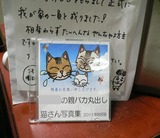 写真集