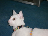 93d75626.jpg