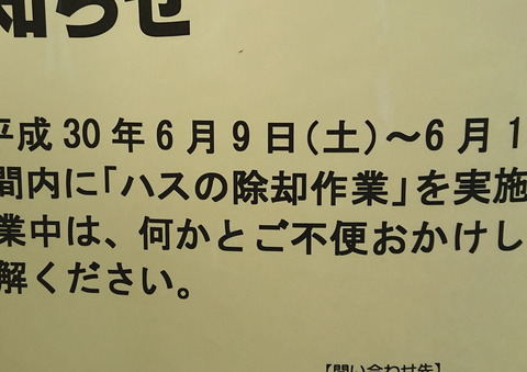 NO35