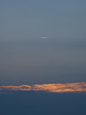 20081008