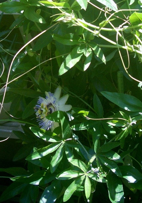 CIMG0373