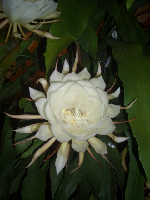002