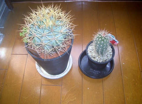 CIMG0054