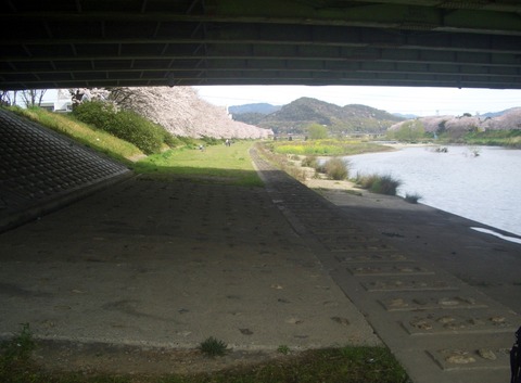 CIMG0003