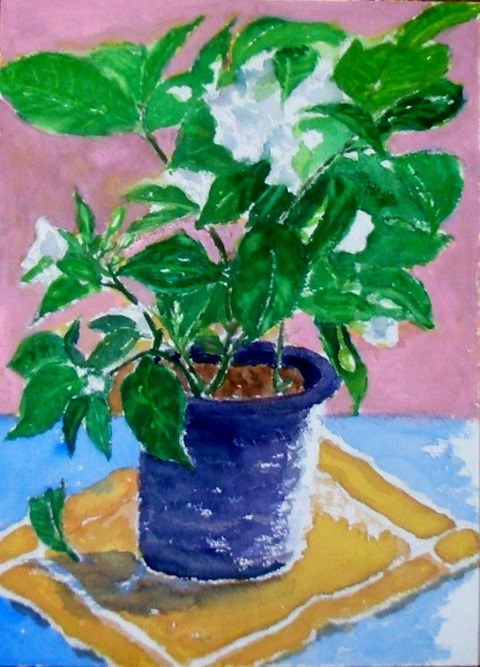 CIMG0281