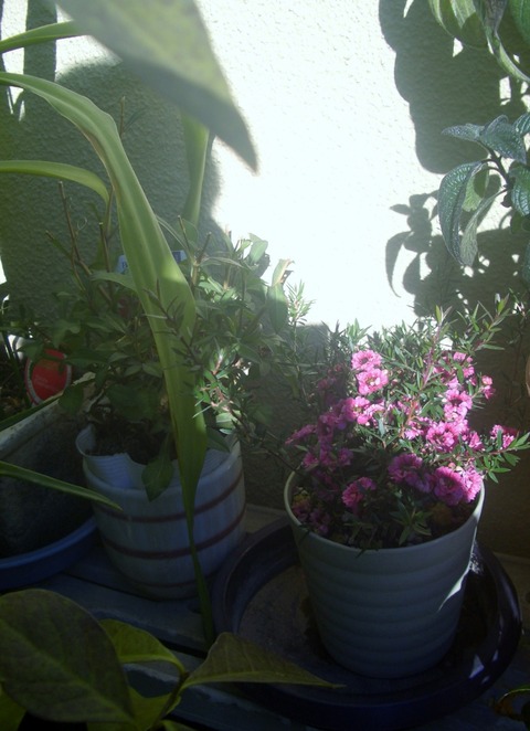 CIMG0094