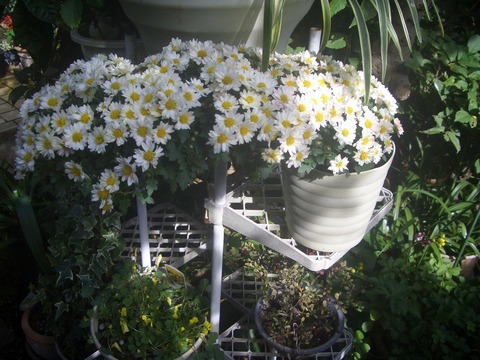 CIMG0048