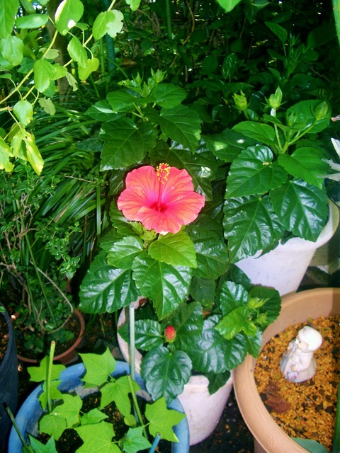 CIMG0327