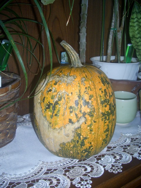CIMG0055