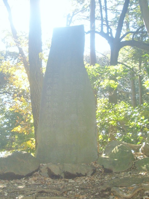 CIMG0043