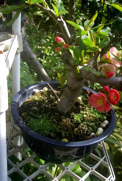 CIMG0028