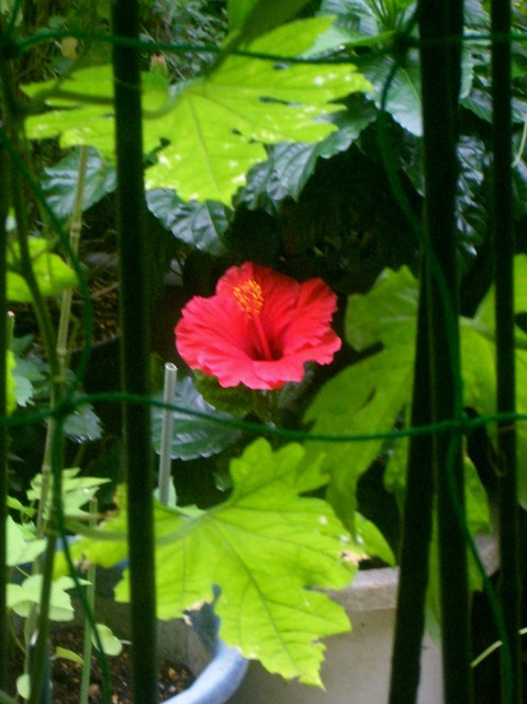 CIMG0315