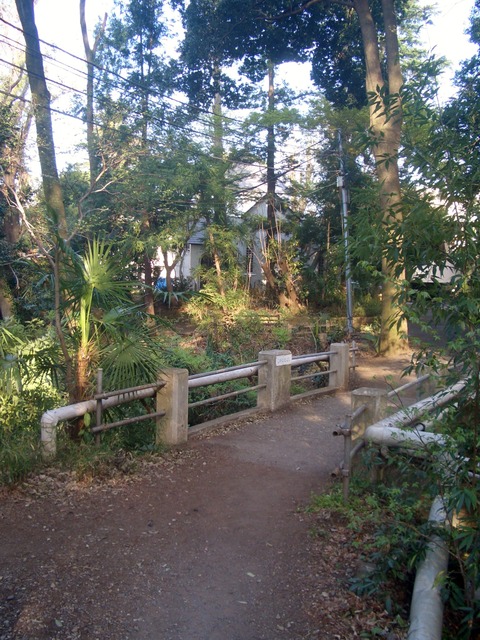 CIMG0017