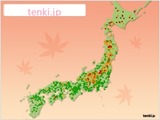 fall leaves 2016 tenki logo