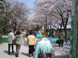 Sumidagawa Park