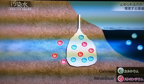 Model of Calcium Filter Barrier