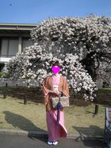 Before Double-Cherry