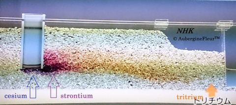 Radioactive Water Flow Model