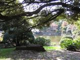 Tranquility of the Garden