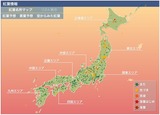http://weathernews.jp/koyo/