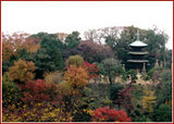 Chinsanso Gardens at the Four Seaasons