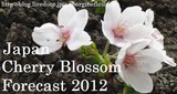 Cherry Blossom Forecast 2012