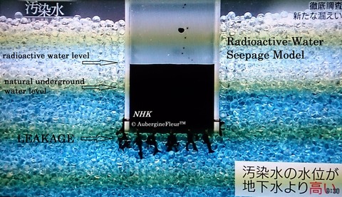 Water Seepage Model