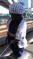 f3a52047.jpg