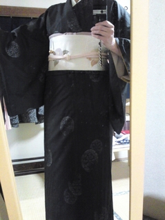 Oshima with New Camellia Obi