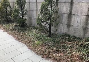 き