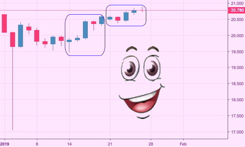 トルコリラ2019