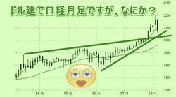 ドル建て日経