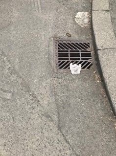 とれんでぃ