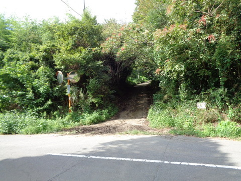 DSC02856