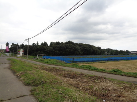 DSC02888