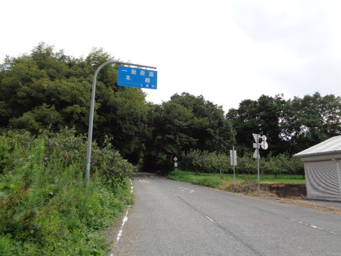 DSC02830