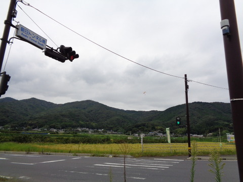 DSC02787